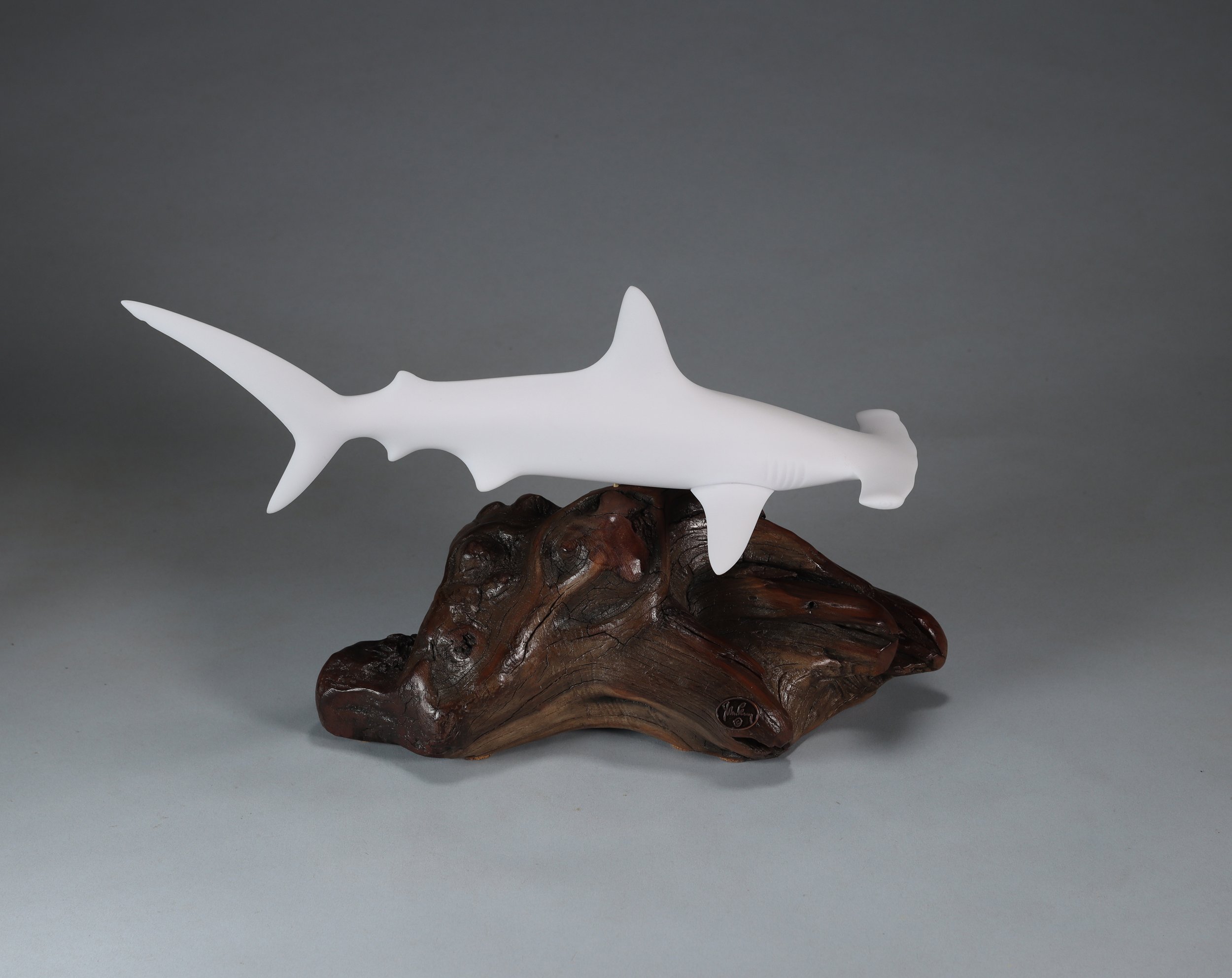 バラ売り可 Hammer Head Shark,PK Shampoo等まとめ売り Hammerhead Sharks — All Items — JOHN PERRY STUDIO